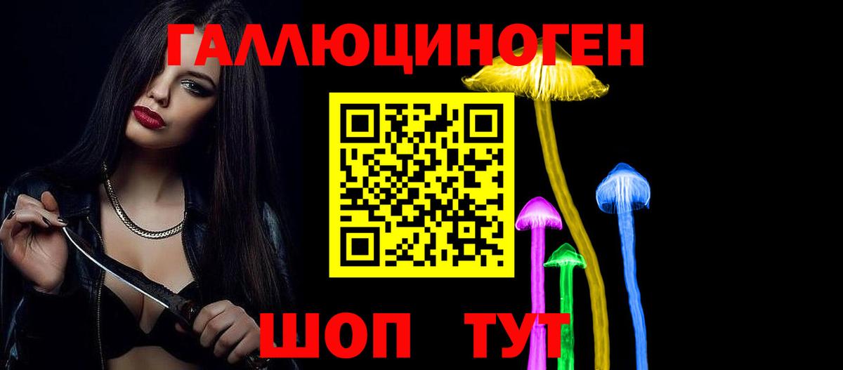 Псилоцибиновые грибы Psilocybe Полысаево